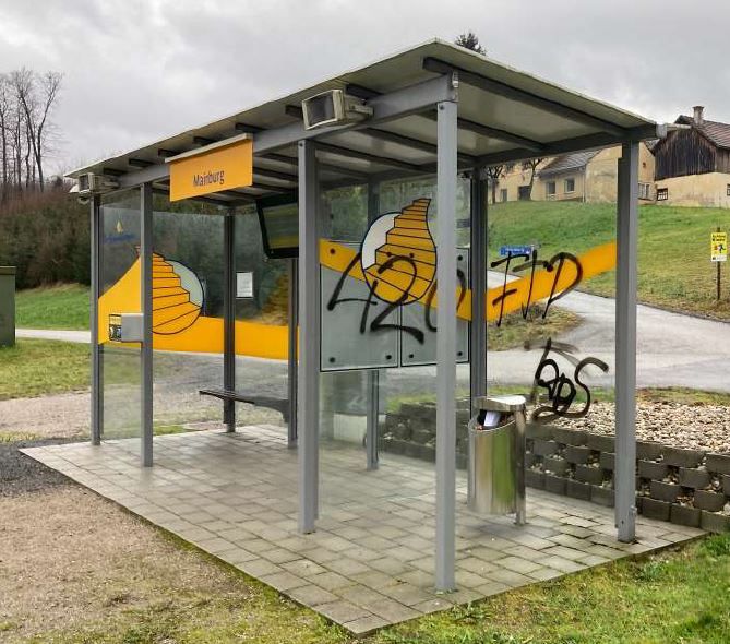 Der 19-Jährige zeigte sich geständig.