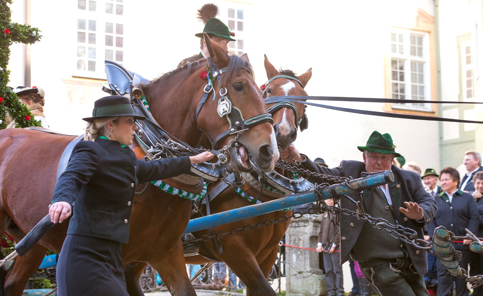 Im bayrischen Brauchtum spielen Pferde immer noch eine zentrale Rolle. (Symbolbild)