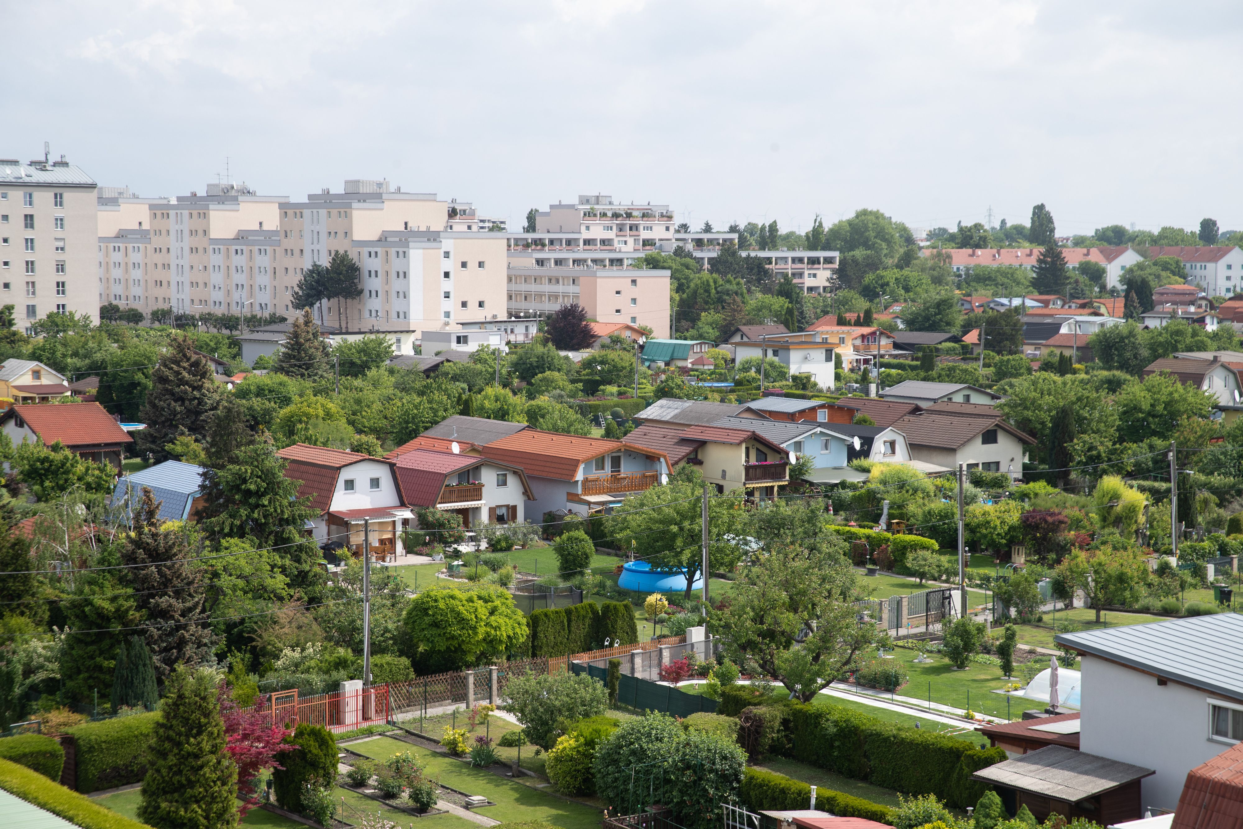 Der Kleingartenverein in Großjedlersdorf im 21. Bezirk