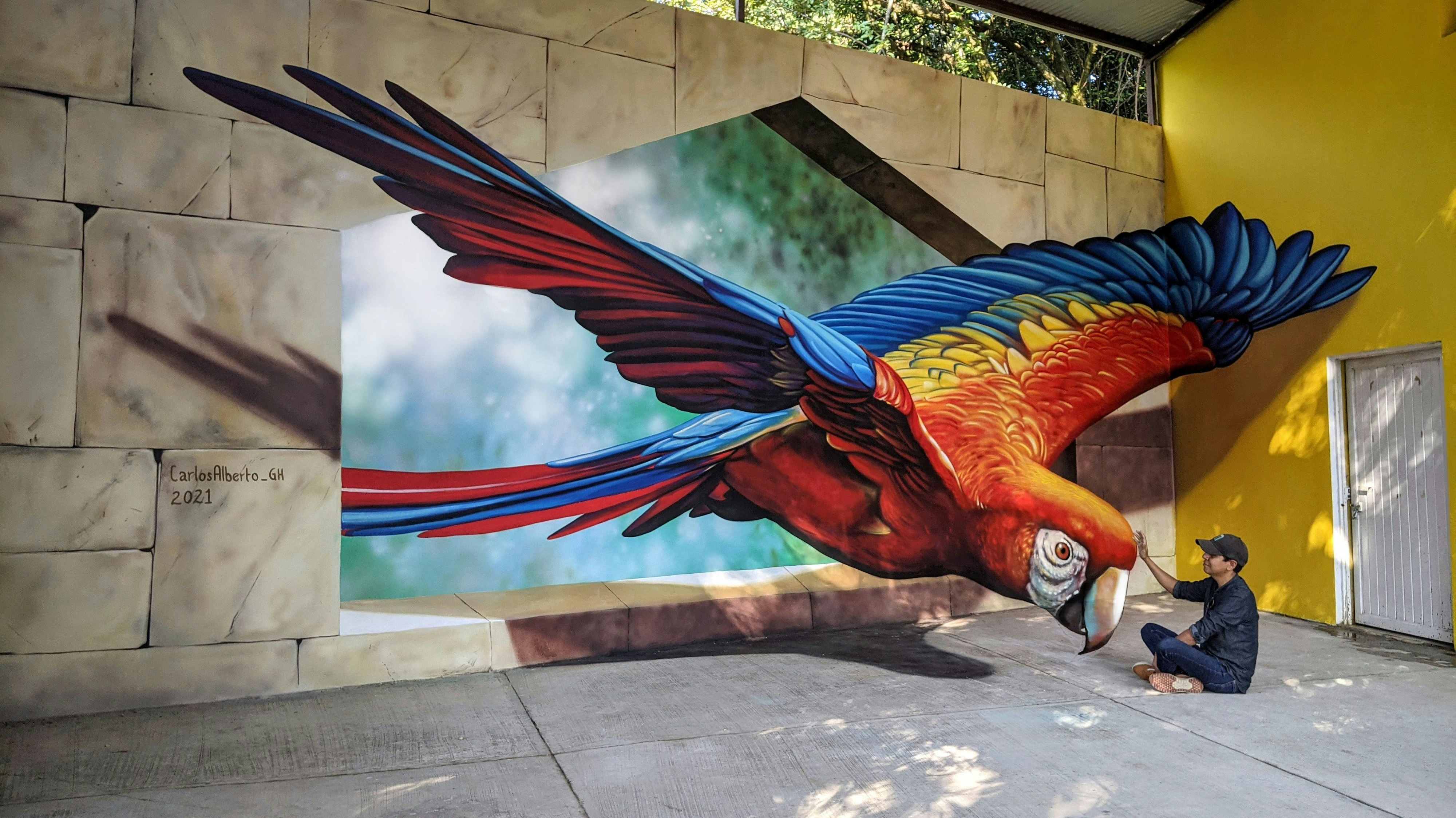 Der mexikanische Künstler Carlos Albertos bedient sich einer raffinierten Technik: anamorphotischen Malerei. 
