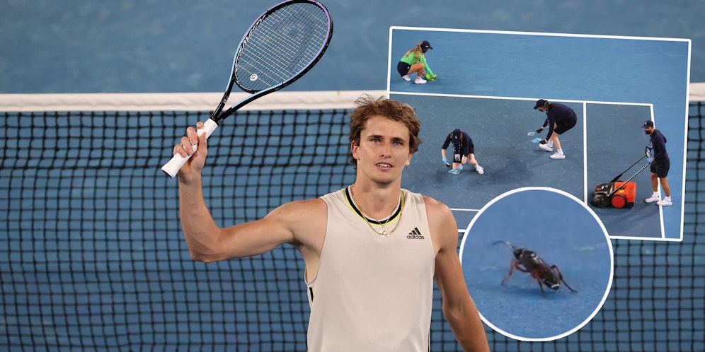 Alexander Zverev hat ein Herz für Grillen.