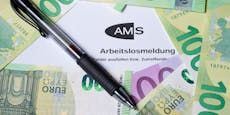 40 Euro pro Tag – SPÖ fordert Erhöhung des AMS-Geldes