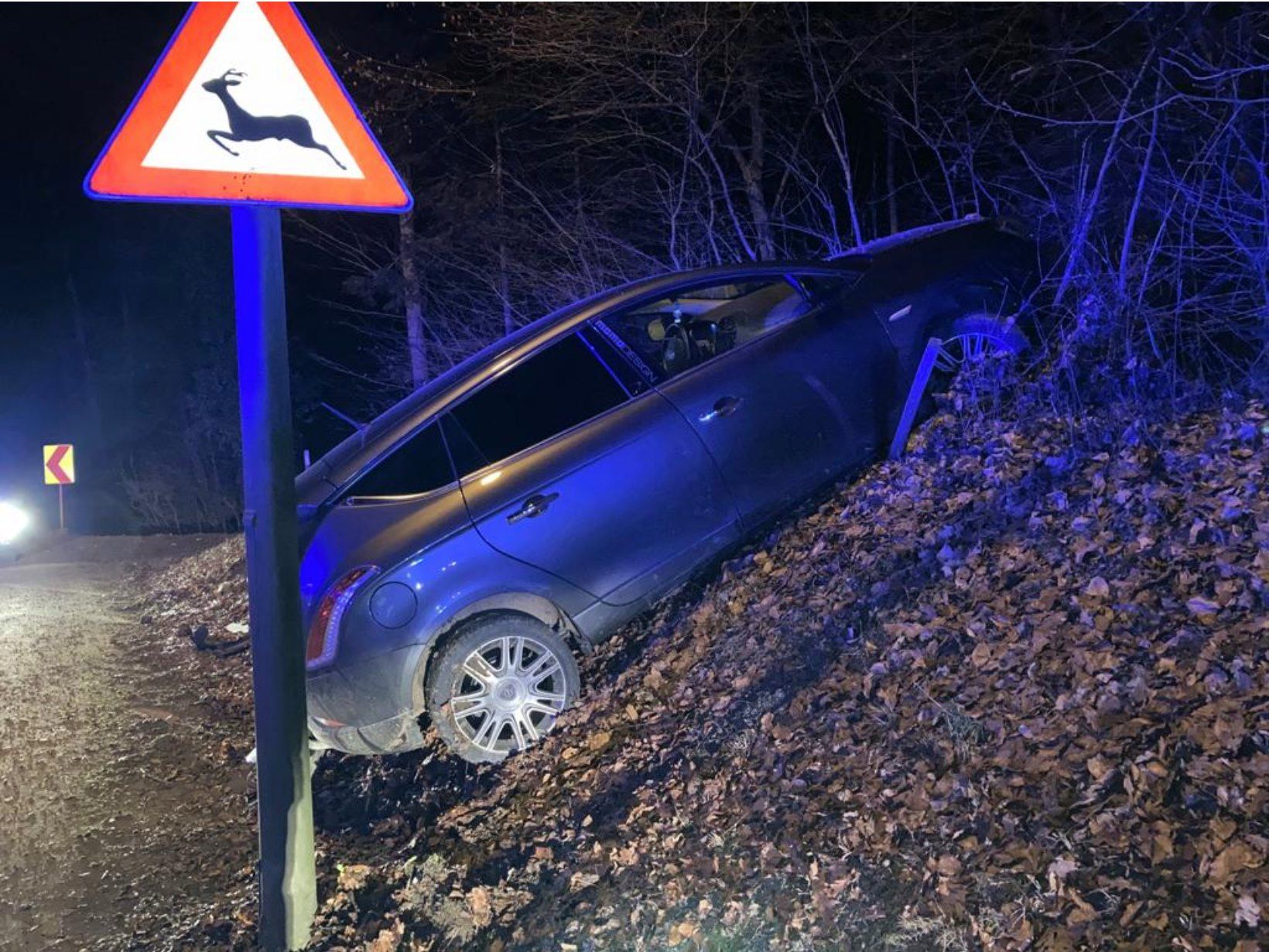 Der Pkw landete nach einer 30 Kilometer andauernden Flucht in einer Böschung.