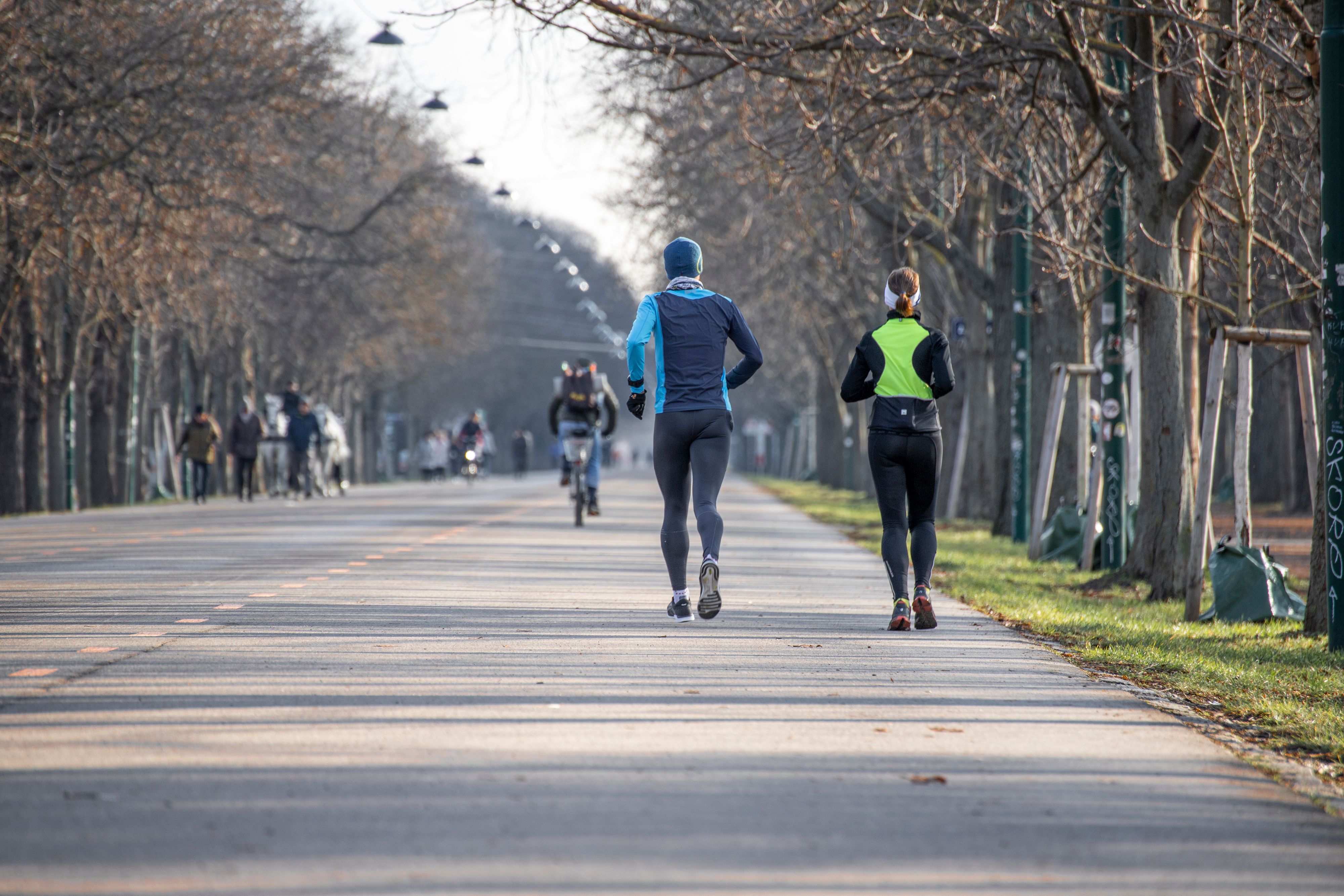 Download von www.picturedesk.com am 12.02.2021 (12:04).  Der Wiener Prater mit seiner Prater Hauptallee wird für Spaziergänge und diverse Freizeit- und Sportaktivitäten genützt. Im Bild: Prater Hauptallee an einem sonnigen Wintertag im Jänner. Wien, Österreich. 08.01.2021 // The Vienna Prater promenade is used for walks and different kind of sport activities. Picture: Main promenade on a sunny winter day in January. Vienna, Austria. January 8th, 2021 - 20210108_PD6694 - Rechteinfo: Rights Managed (RM)