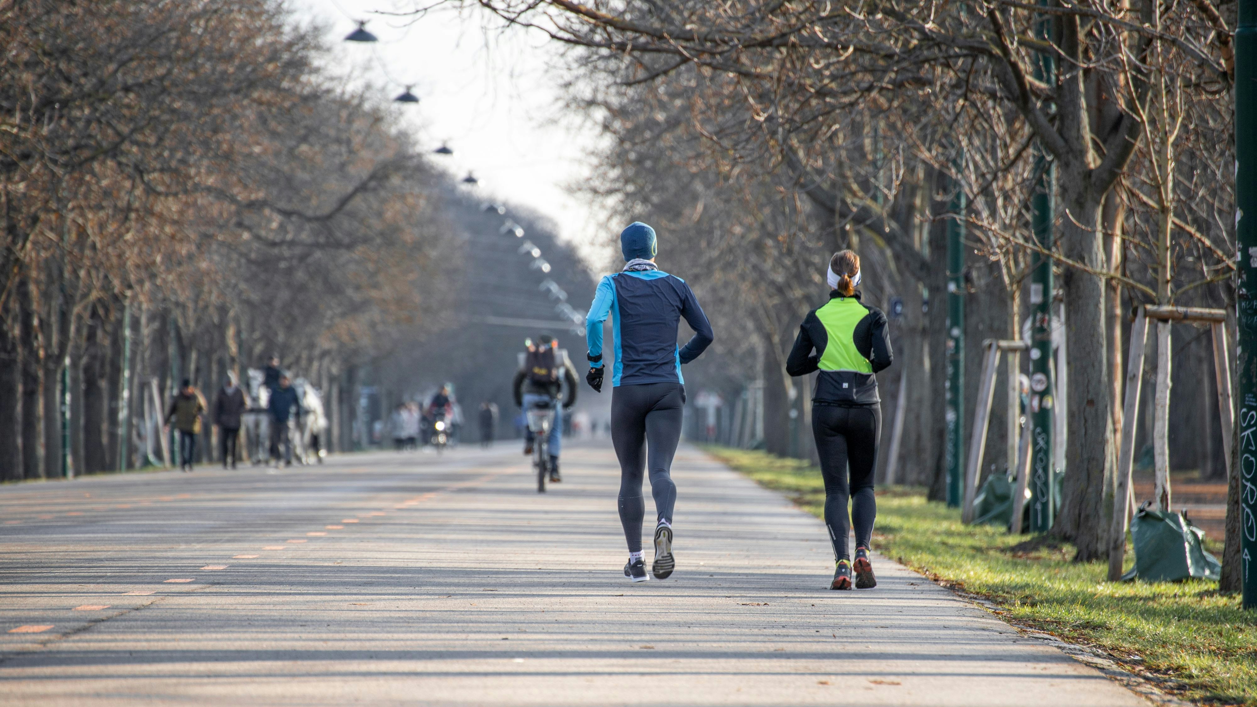 Download von www.picturedesk.com am 12.02.2021 (12:04).  Der Wiener Prater mit seiner Prater Hauptallee wird für Spaziergänge und diverse Freizeit- und Sportaktivitäten genützt. Im Bild: Prater Hauptallee an einem sonnigen Wintertag im Jänner. Wien, Österreich. 08.01.2021 // The Vienna Prater promenade is used for walks and different kind of sport activities. Picture: Main promenade on a sunny winter day in January. Vienna, Austria. January 8th, 2021 - 20210108_PD6694 - Rechteinfo: Rights Managed (RM)