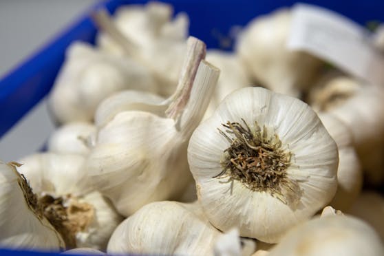 Ganzer Knoblauch in einer Transportbox. Symbolbild