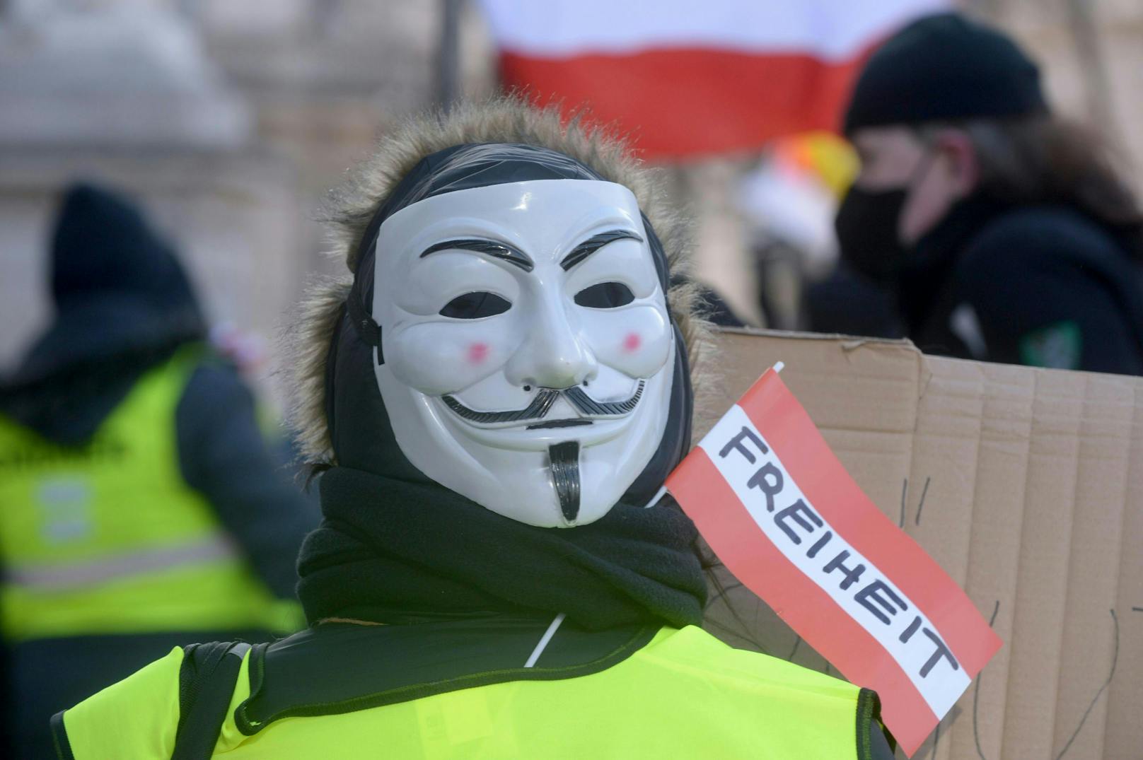 Die Anti-Corona-Demo am 13. Februar 2021 in Wien in Bildern.