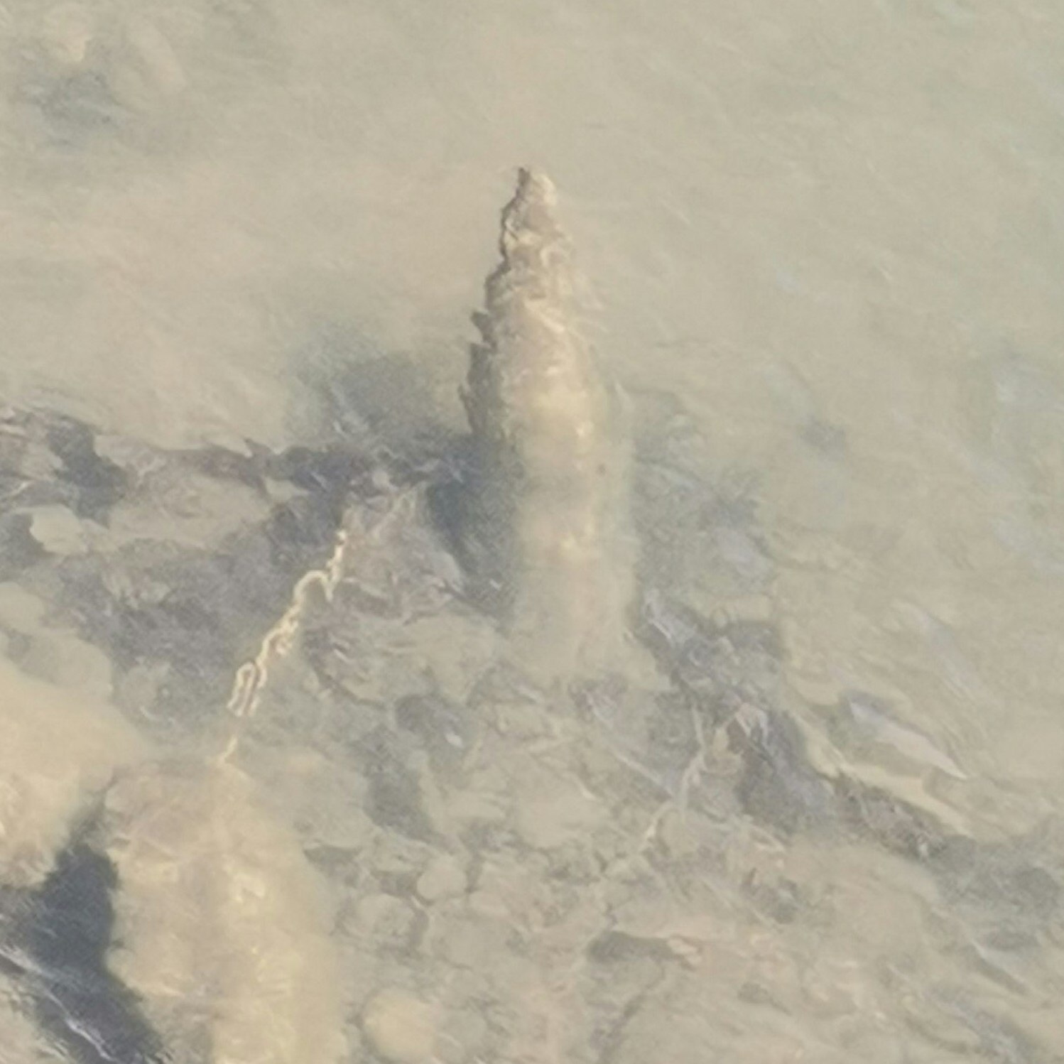 Eine Frau entdeckte in der Pischling in Böheimkirchen eine Bombe.