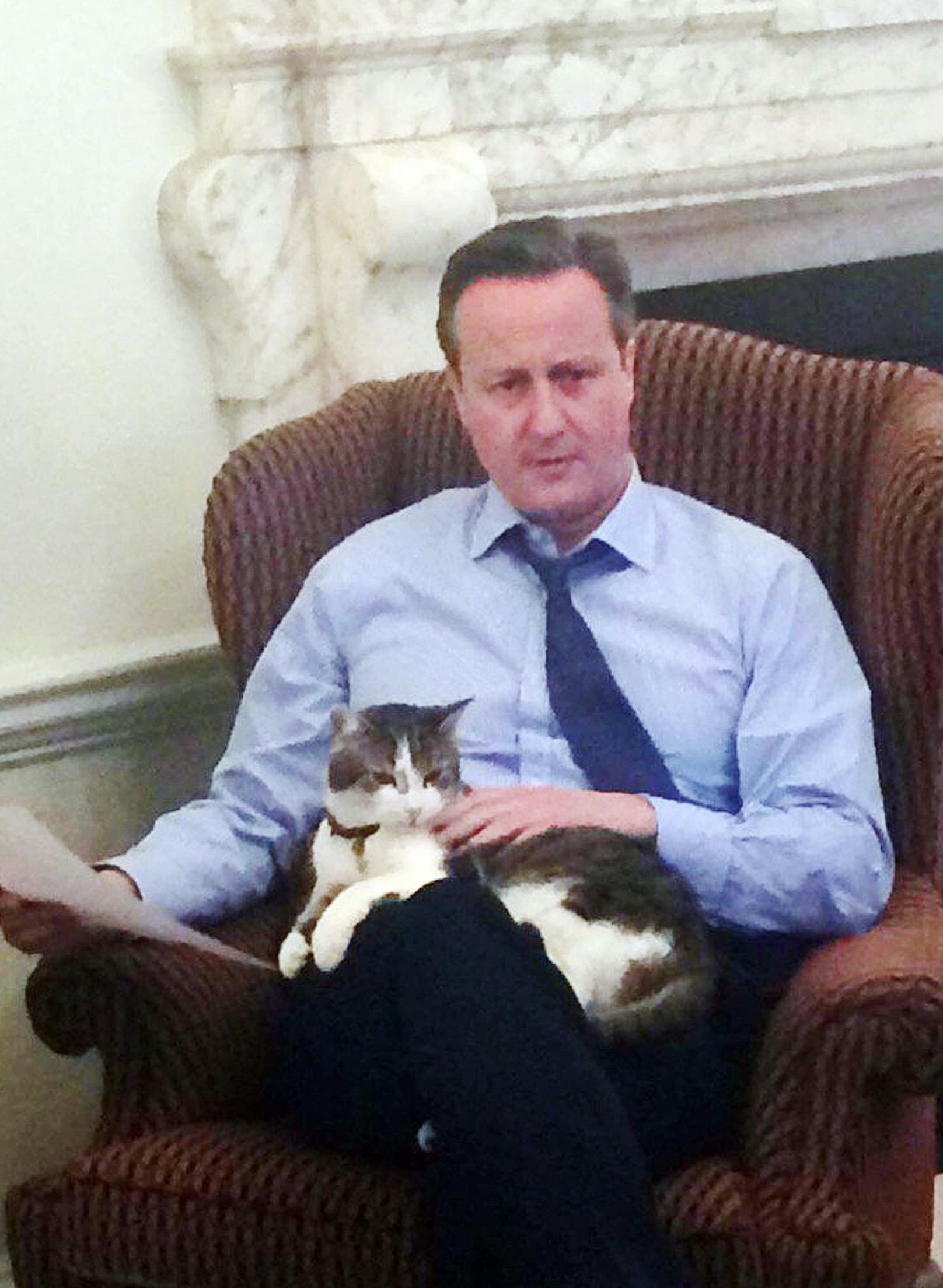 David Cameron - einer der zehn Premierminister hatte Kater "Larry" wohl besonders gern. 