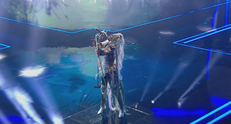 Wer ist der Star unter der Maske?