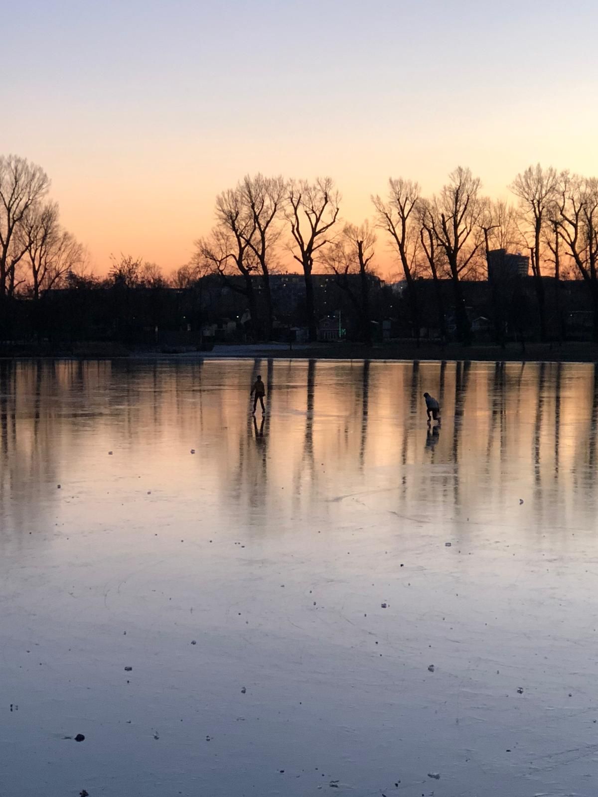 Natureislaufen auf der Alten Donau: Bitte nicht nachmachen!