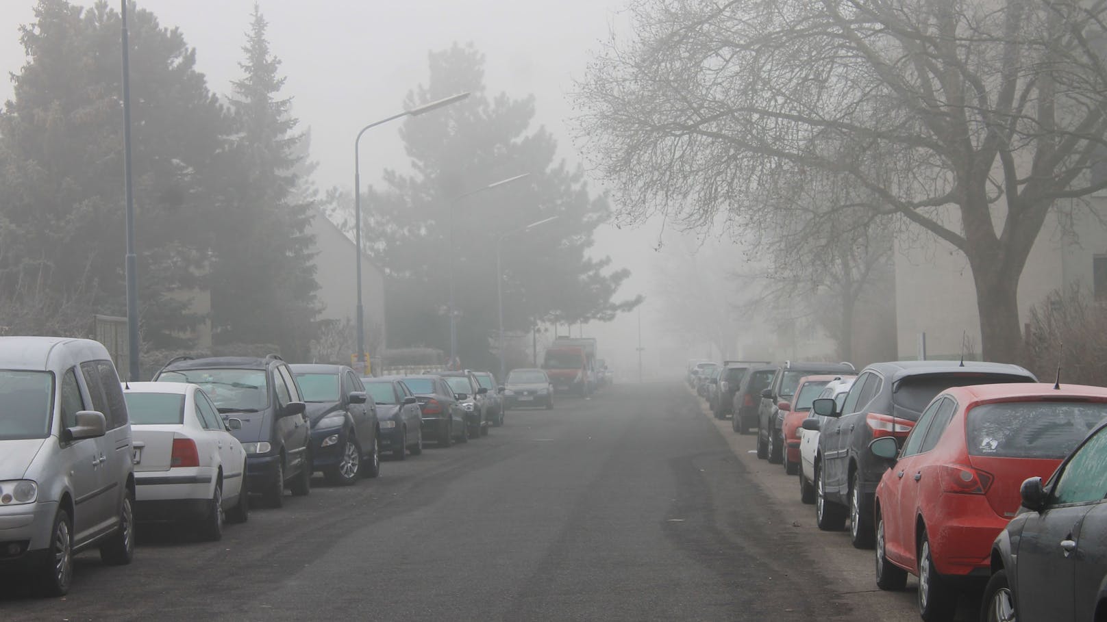 <strong>31.12.2024: Wetter in Österreich ändert sich jetzt komplett.</strong> Während es zu Silvester in der Höhe weiterhin sehr mild bleibt, hält sich in den Niederungen kühle und regional auch feuchte Luft samt Nebel. <a data-li-document-ref="120080718" href="https://www.heute.at/s/wetter-in-oesterreich-aendert-sich-jetzt-komplett-120080718">Die Prognose im Detail &gt;&gt;&gt;</a>