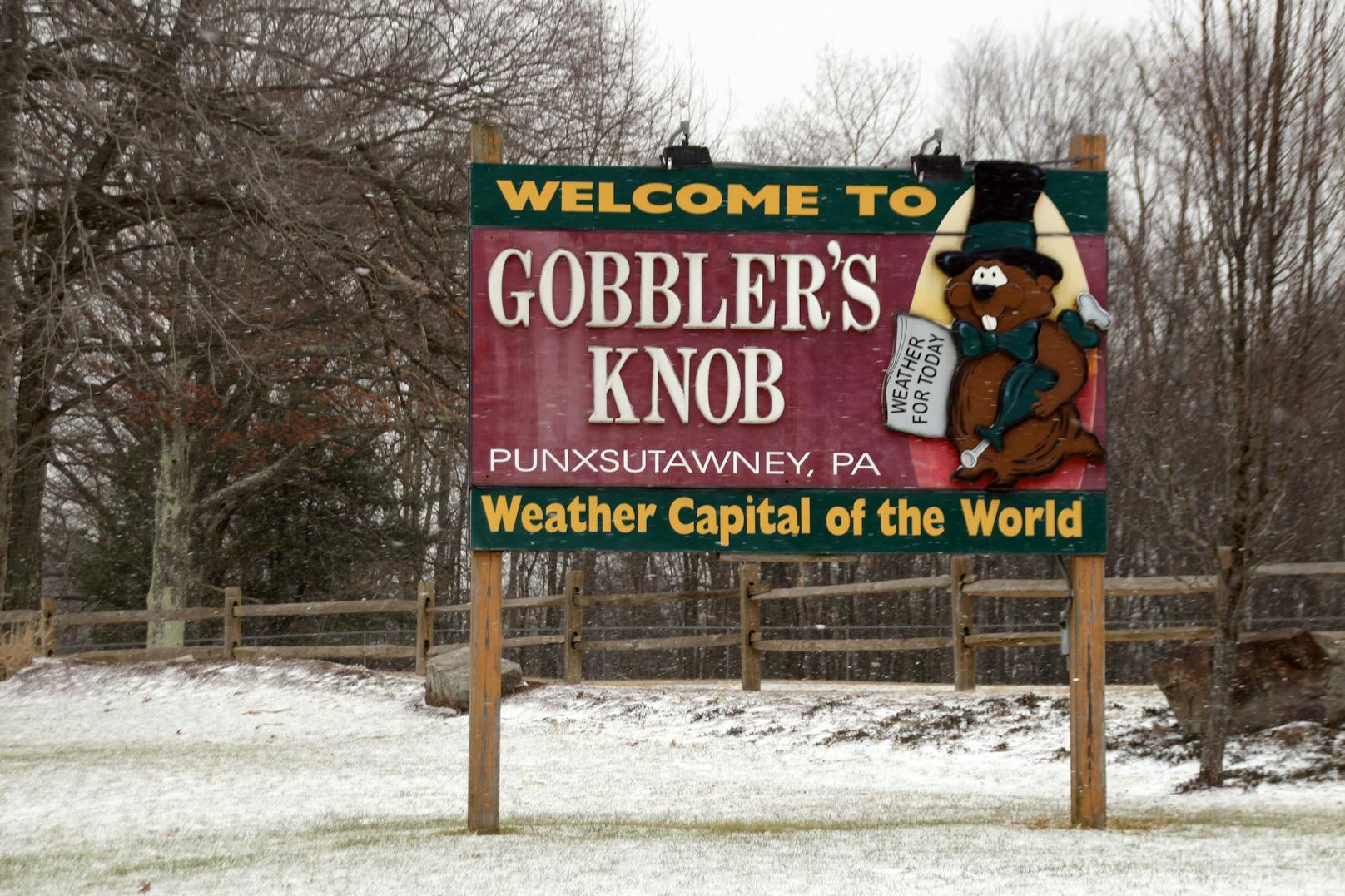 Die Feierlichkeiten am "Gobblers Knob" finden seit 1887 statt. 