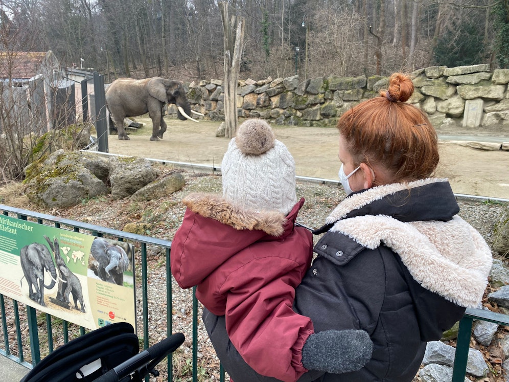 Aus dem Leben einer Mama.