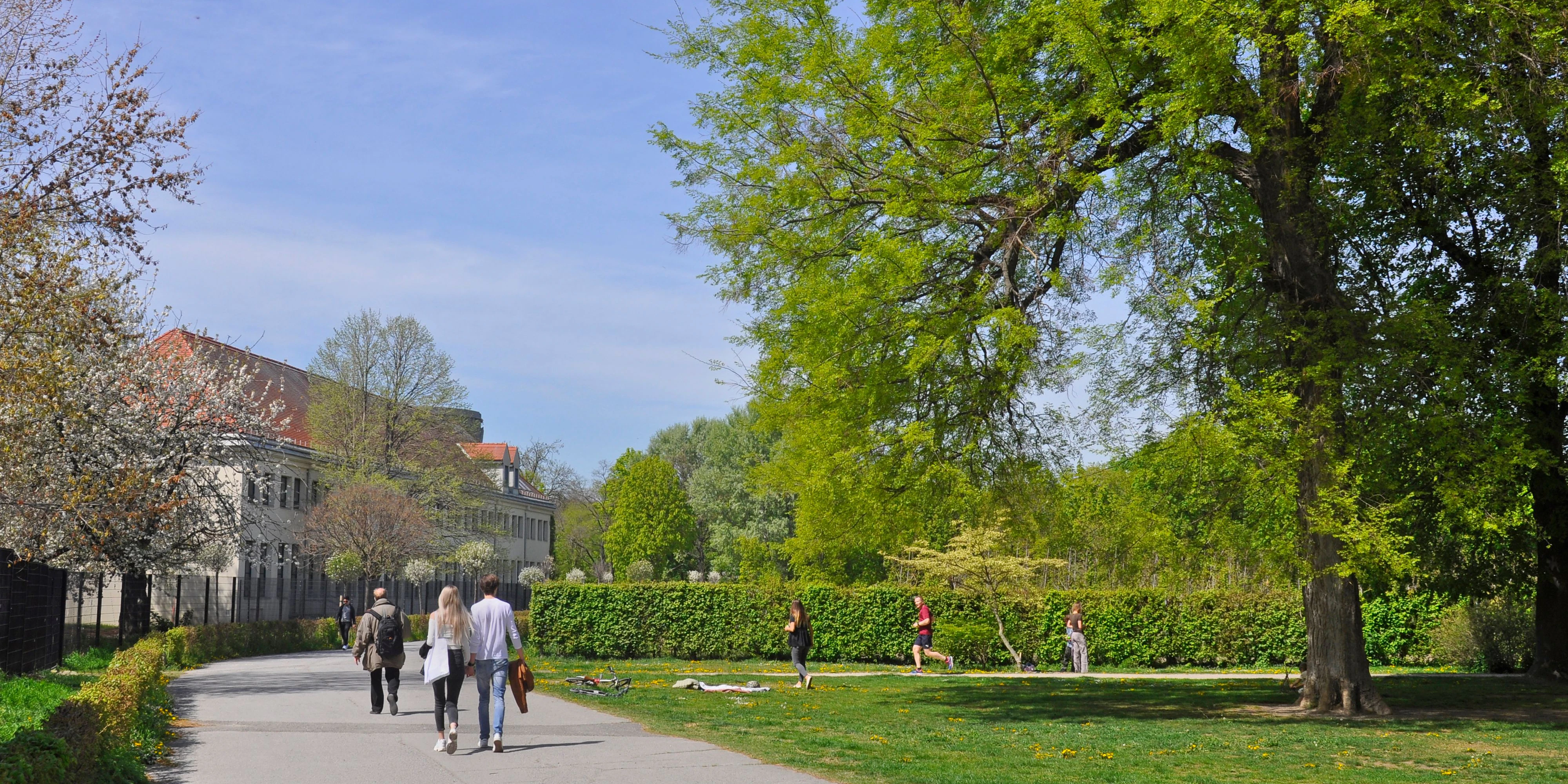 Frühling in Wien
