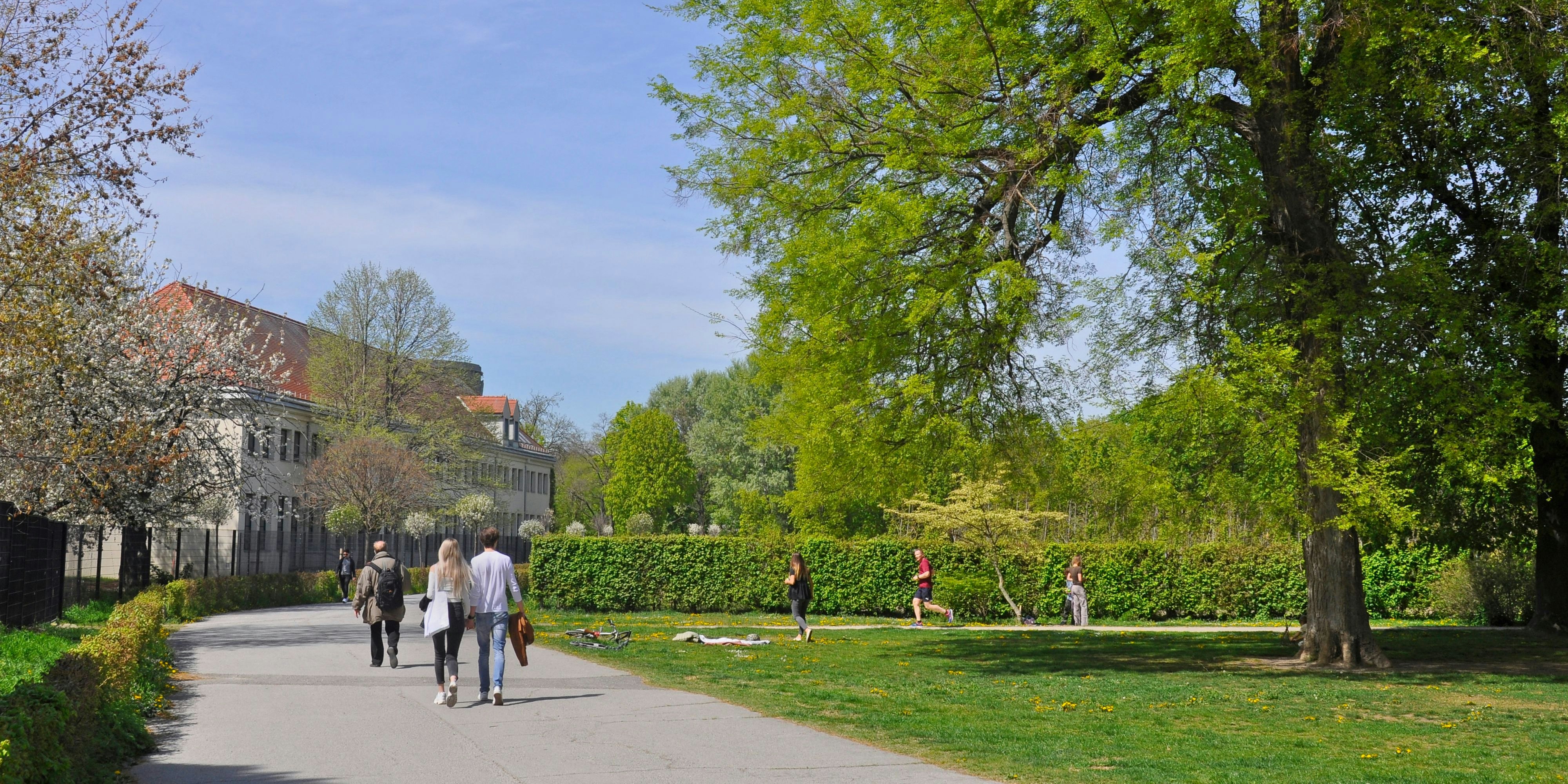 Frühling in Wien