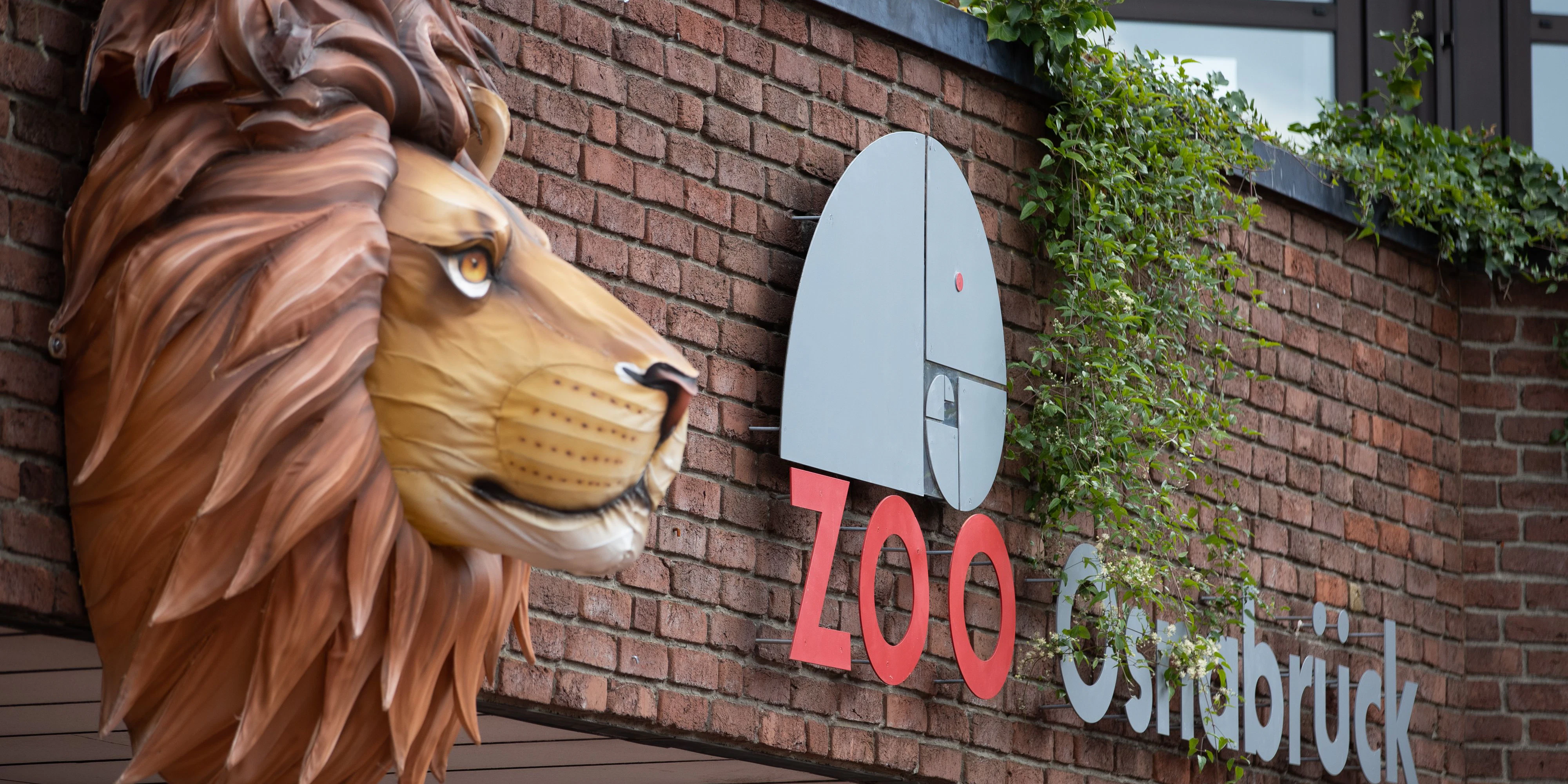 Im Zoo von Osnabrück kam es am Sonntag zu einem Zwischenfall.