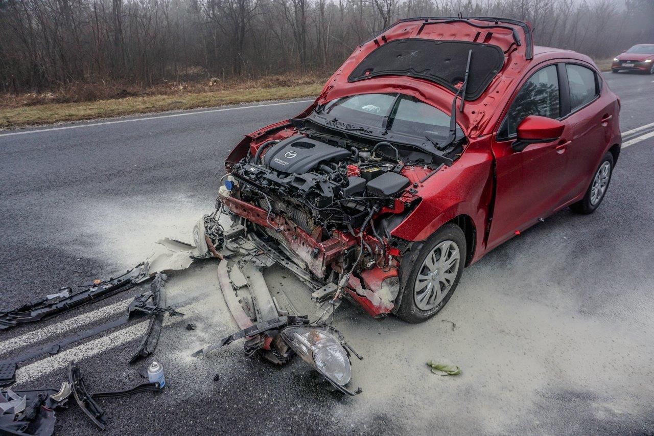 Unfall mit Wildschwein: Das Tier überlebte den Crash nicht