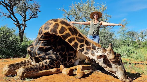 Ihr Ehemann schenkte ihr die Jagd auf eine Giraffe.