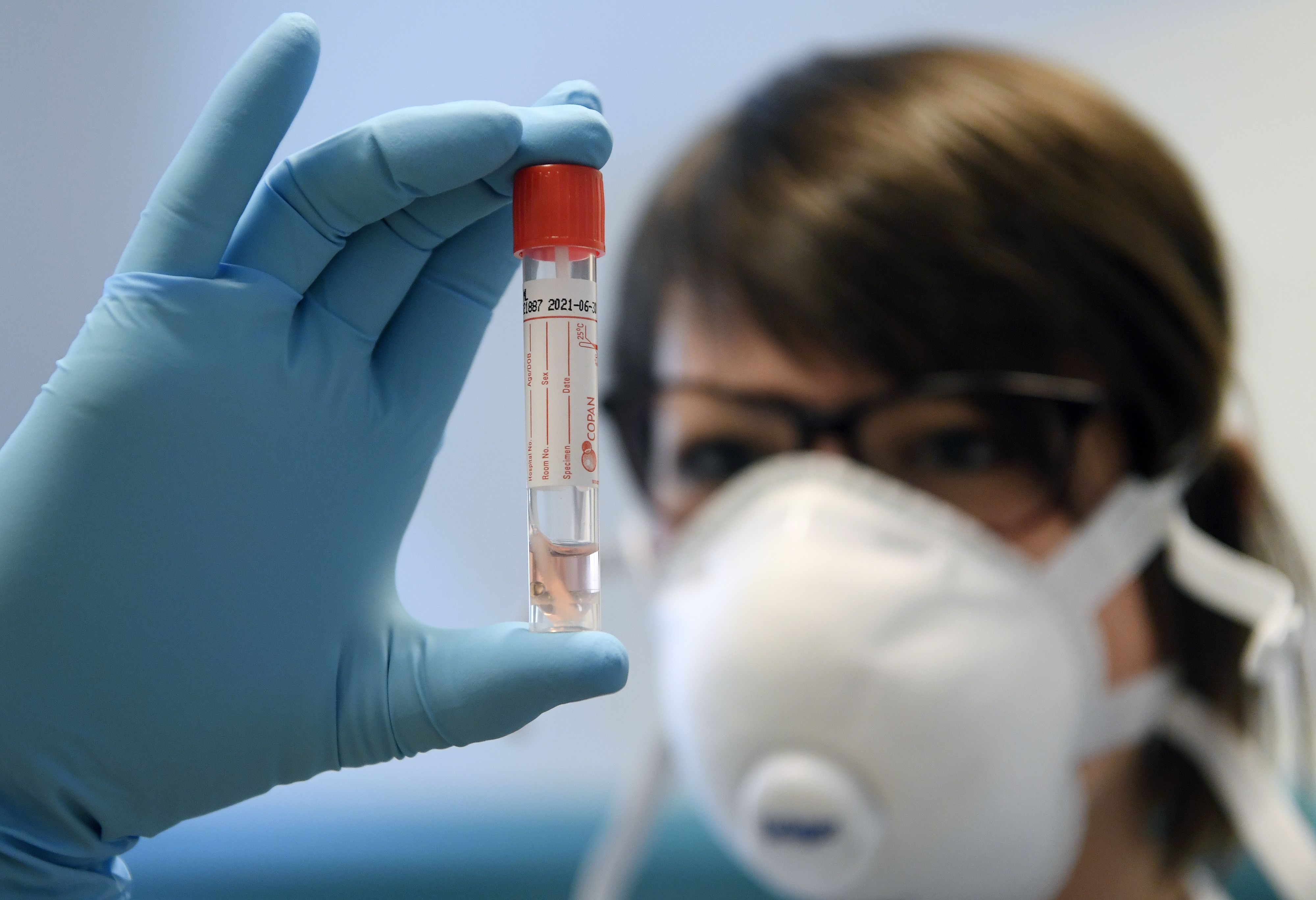 Wissenschafter des Zentrums für Virologie der MedUni Wien erforschen das Coronavirus SARS-CoV-2. Symbolbild