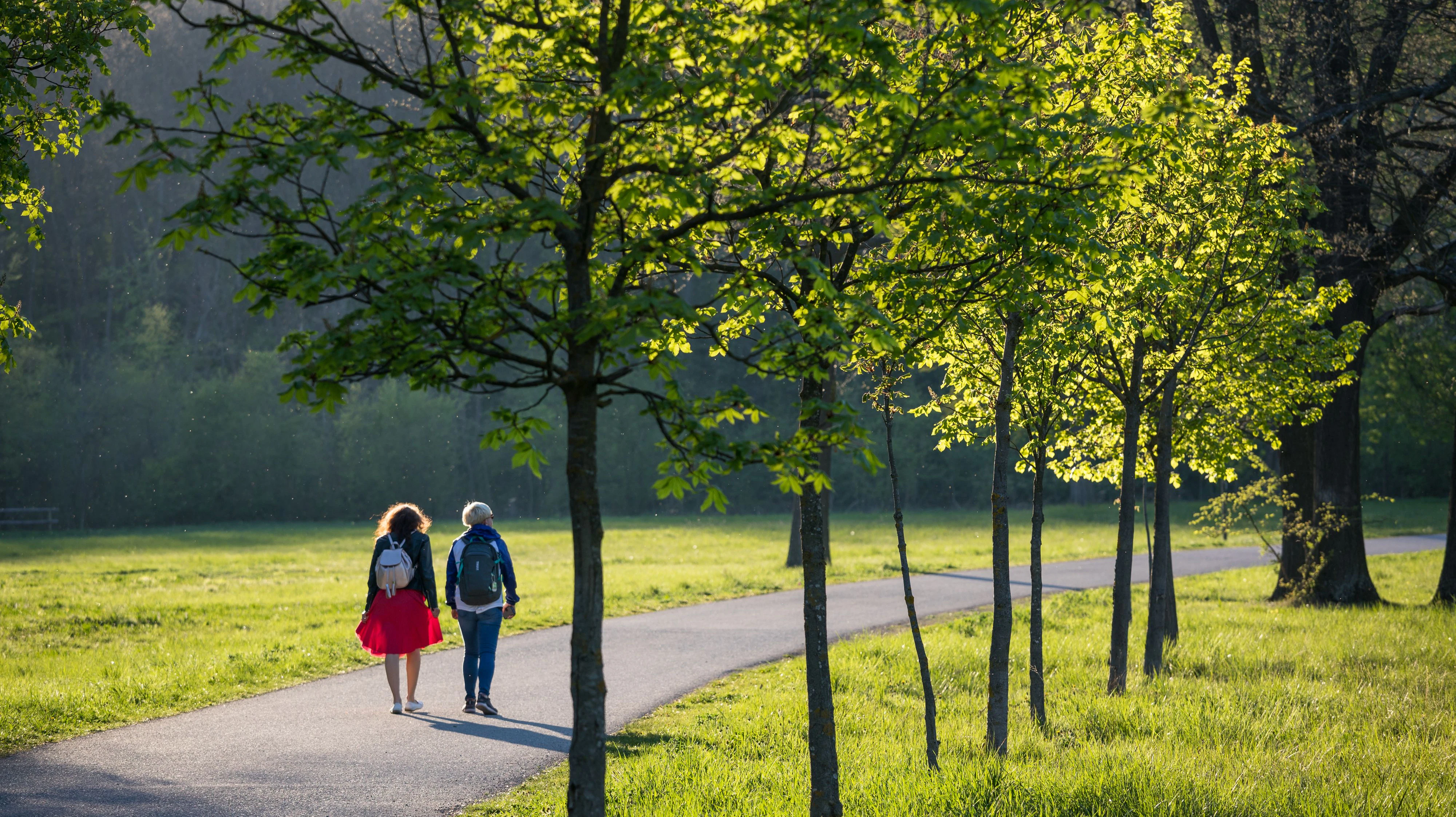 In dieser Woche wird es frühlingshaft warm.