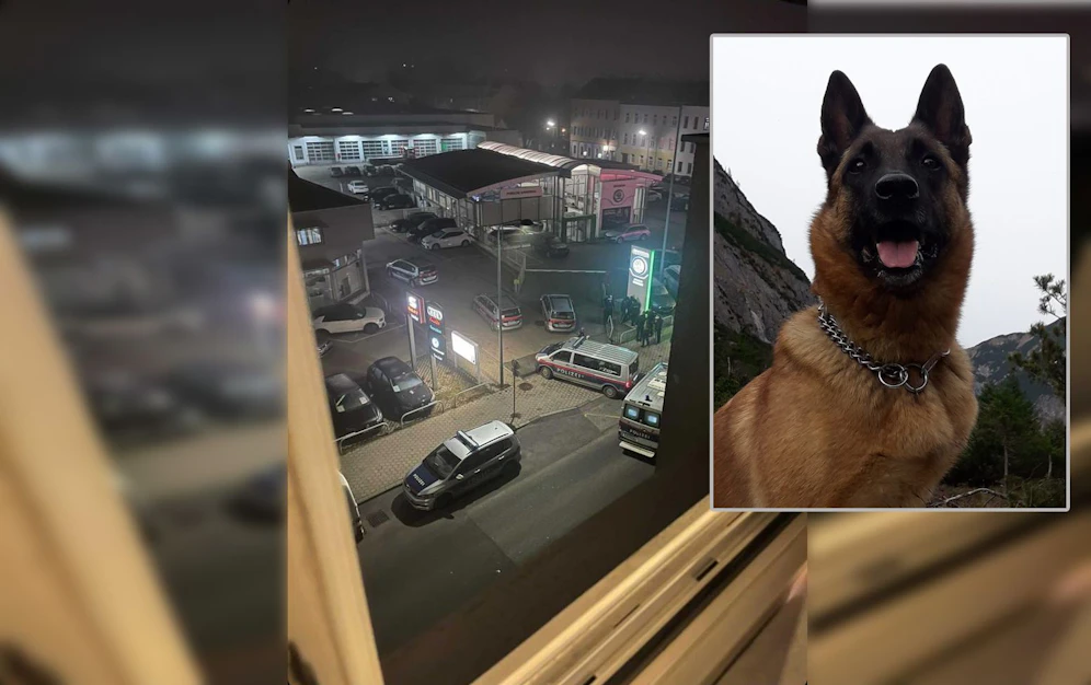 Der Hund konnte den Tatverdächtigen stellen.