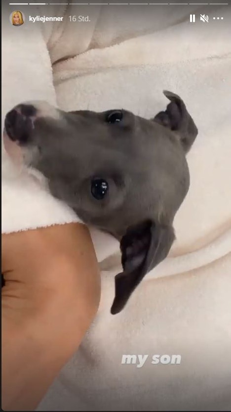 Kylie Jenner zeigt ihren "Sohn"