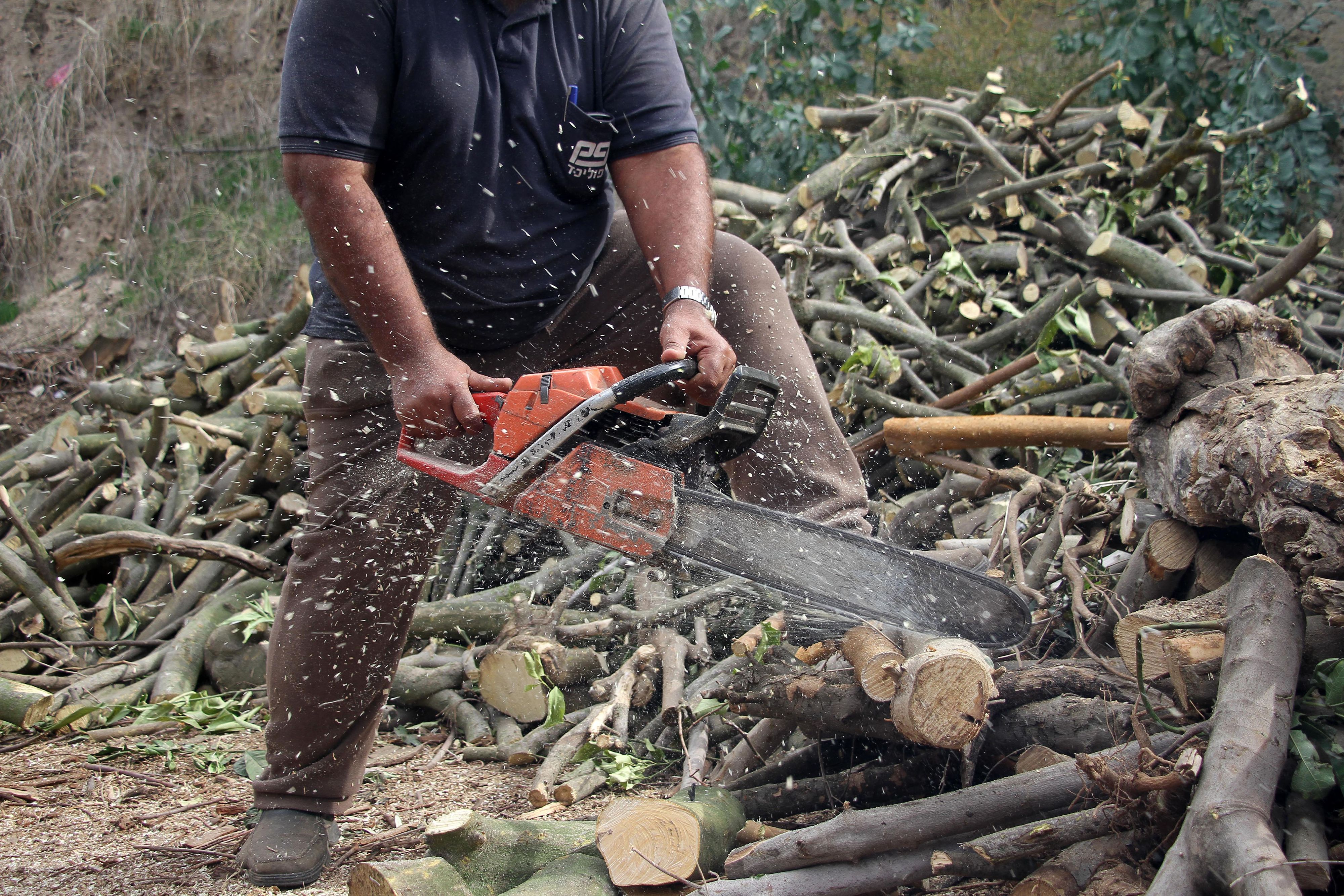 Der Mann (72) erlitt durch die Motorsäge schwere Verletzungen. Er verblutete bevor die Rettung bei ihm eintraf. Symbolbild