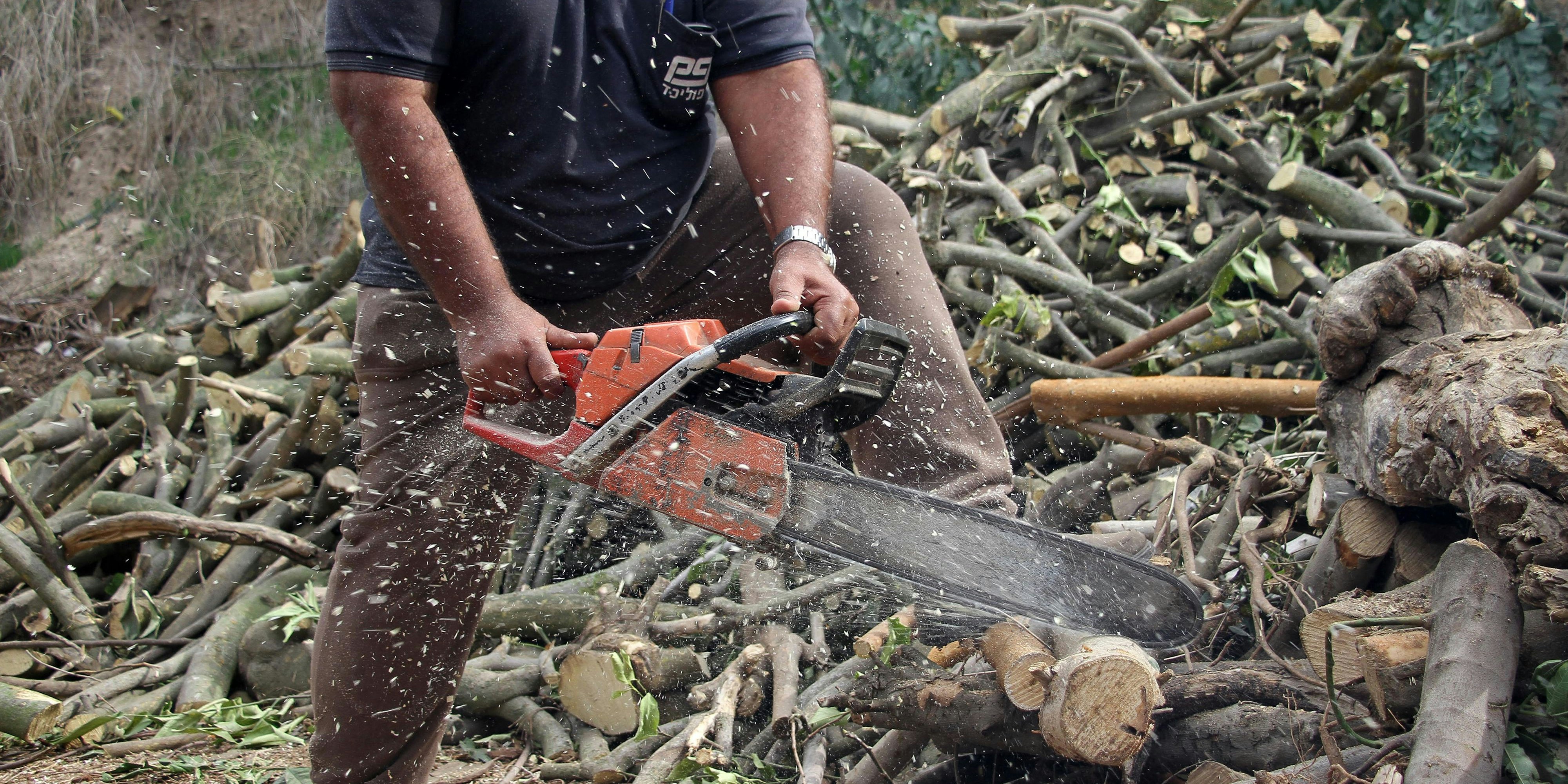 Der Mann (72) erlitt durch die Motorsäge schwere Verletzungen. Er verblutete bevor die Rettung bei ihm eintraf. Symbolbild