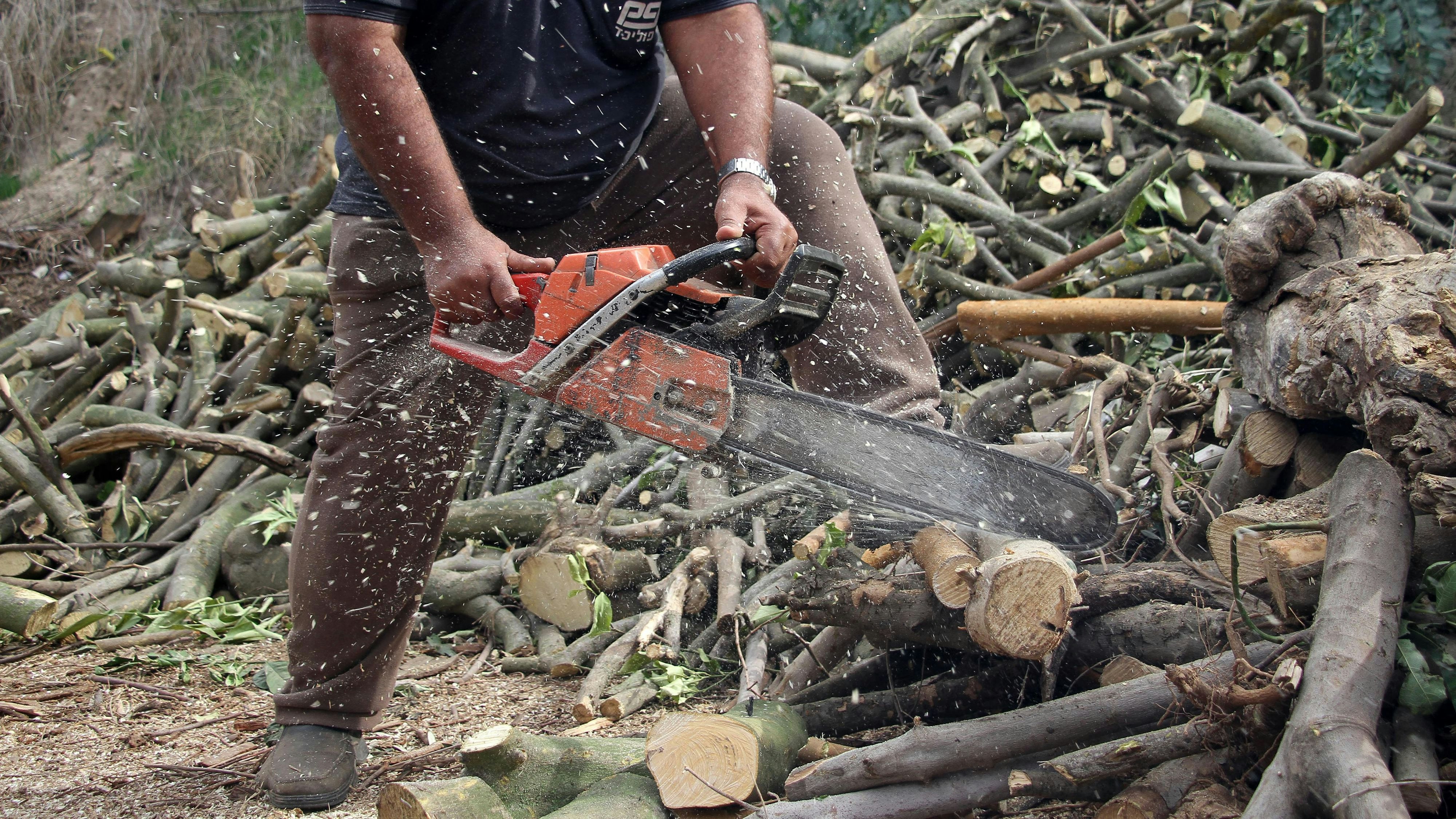 Der Mann (72) erlitt durch die Motorsäge schwere Verletzungen. Er verblutete bevor die Rettung bei ihm eintraf. Symbolbild