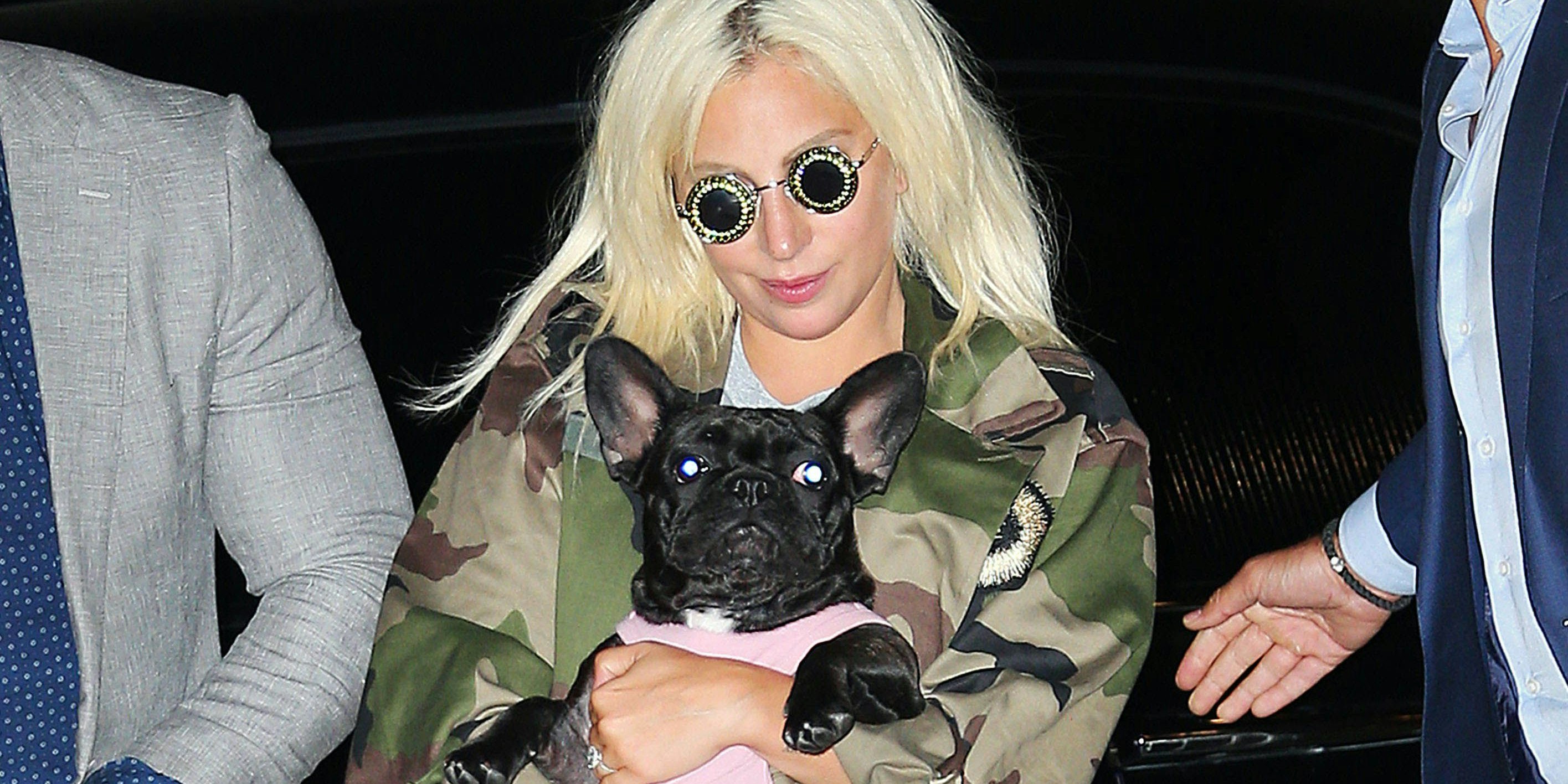 Lady Gaga mit ihrem Hund "Asia"