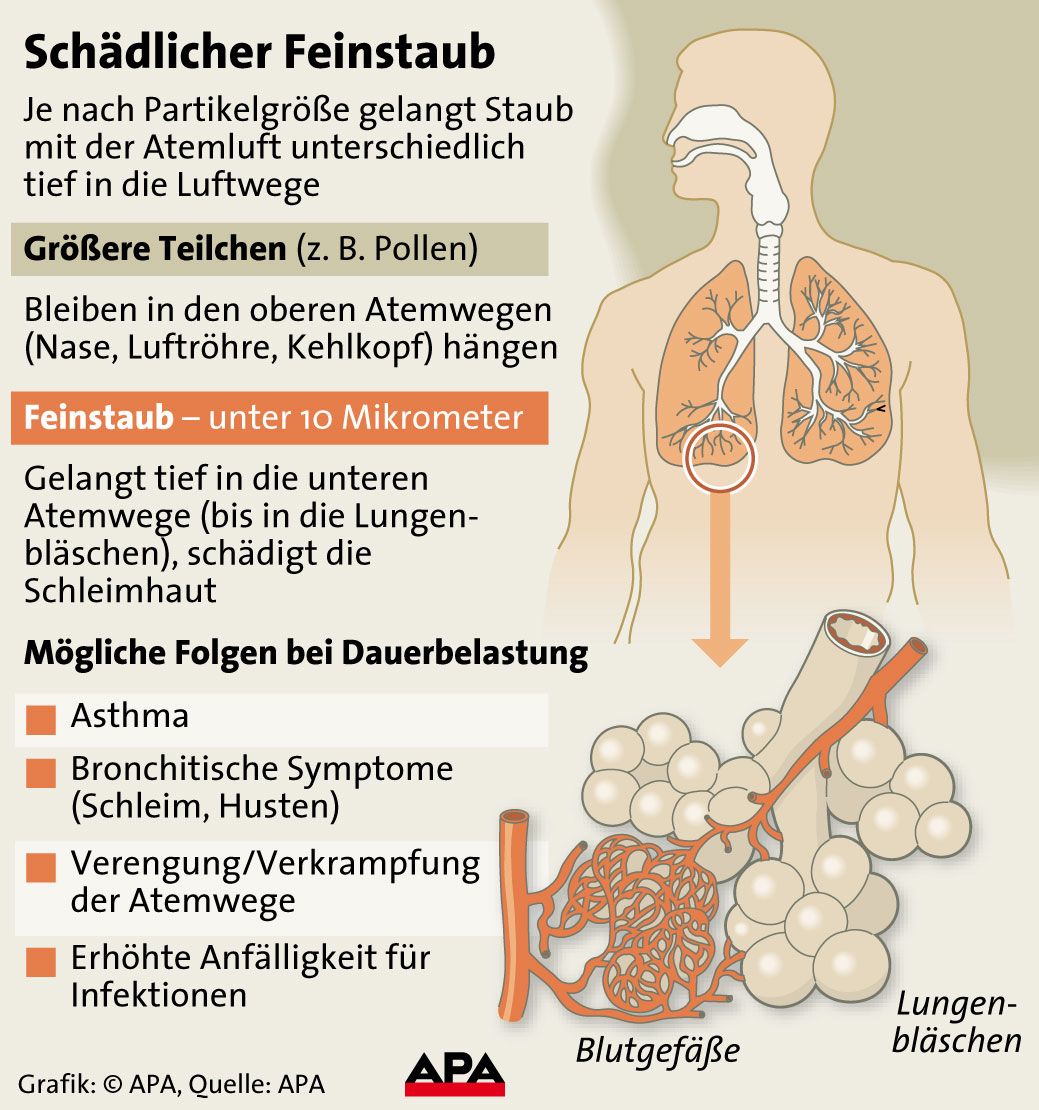 Schädlicher Feinstaub
