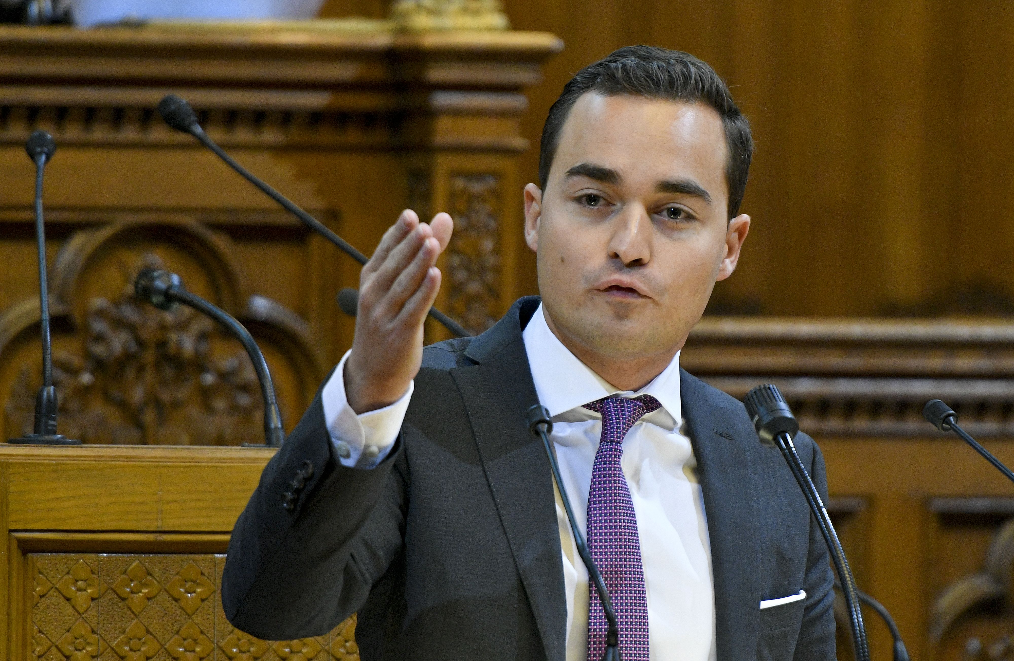 Maximilian Krauss im Wiener Rathaus