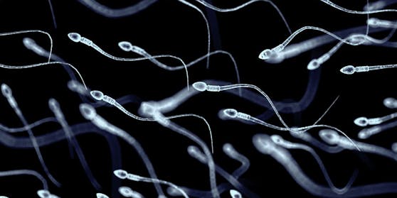 Corona-Infektion wirkt sich negativ auf die Spermienqualität aus.