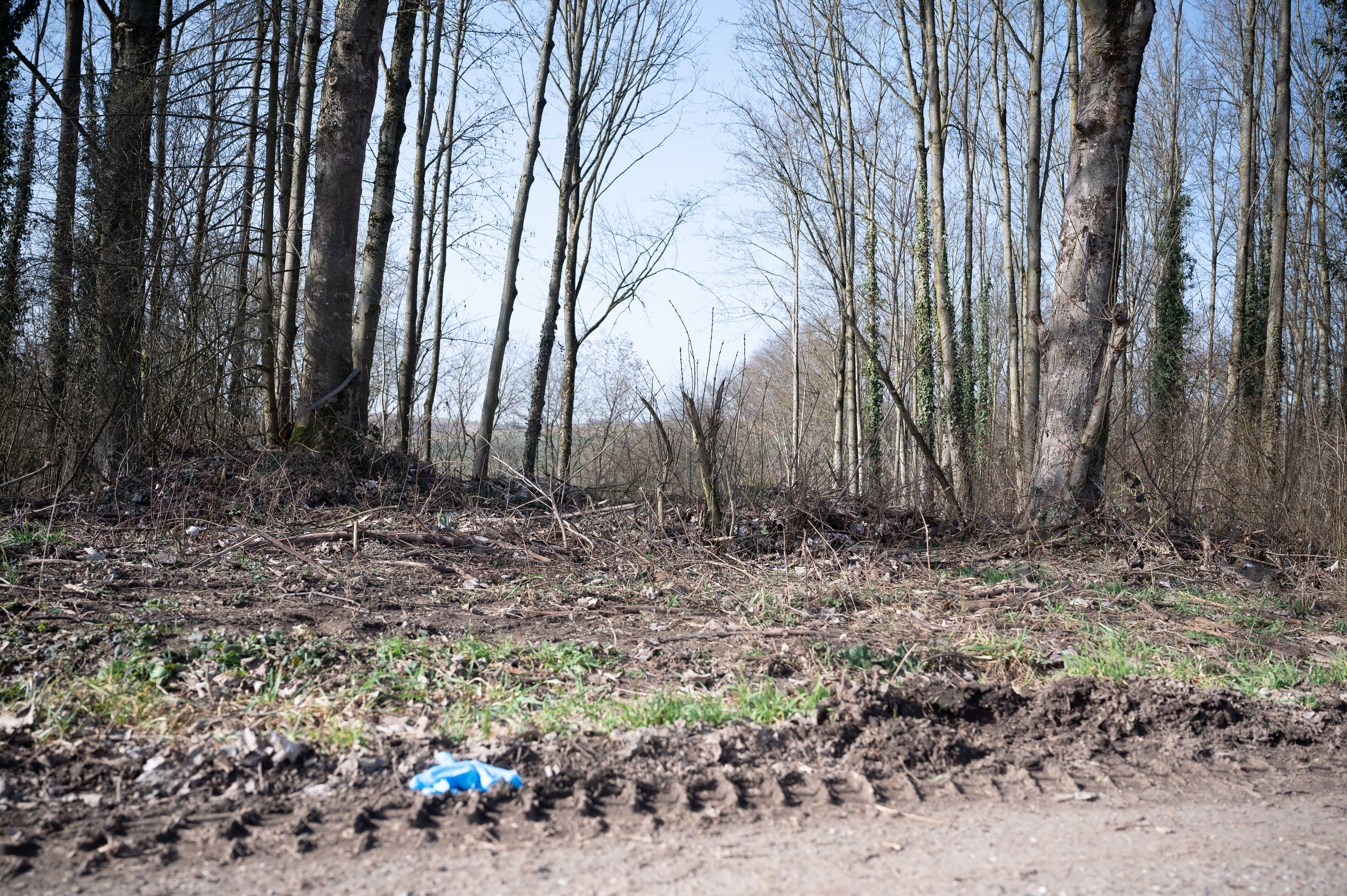 Download von www.picturedesk.com am 26.02.2021 (09:24).  25 February 2021, Baden-Wuerttemberg, Sinsheim: A piece of forest where the alleged crime scene is located. After a 13-year-old boy was found dead near Sinsheim-Eschelbach, police continue to investigate on Thursday. A 14-year-old is suspected of having killed the 13-year-old. Photo: Sebastian Gollnow/dpa - 20210225_PD1955 - Rechteinfo: Rights Managed (RM)