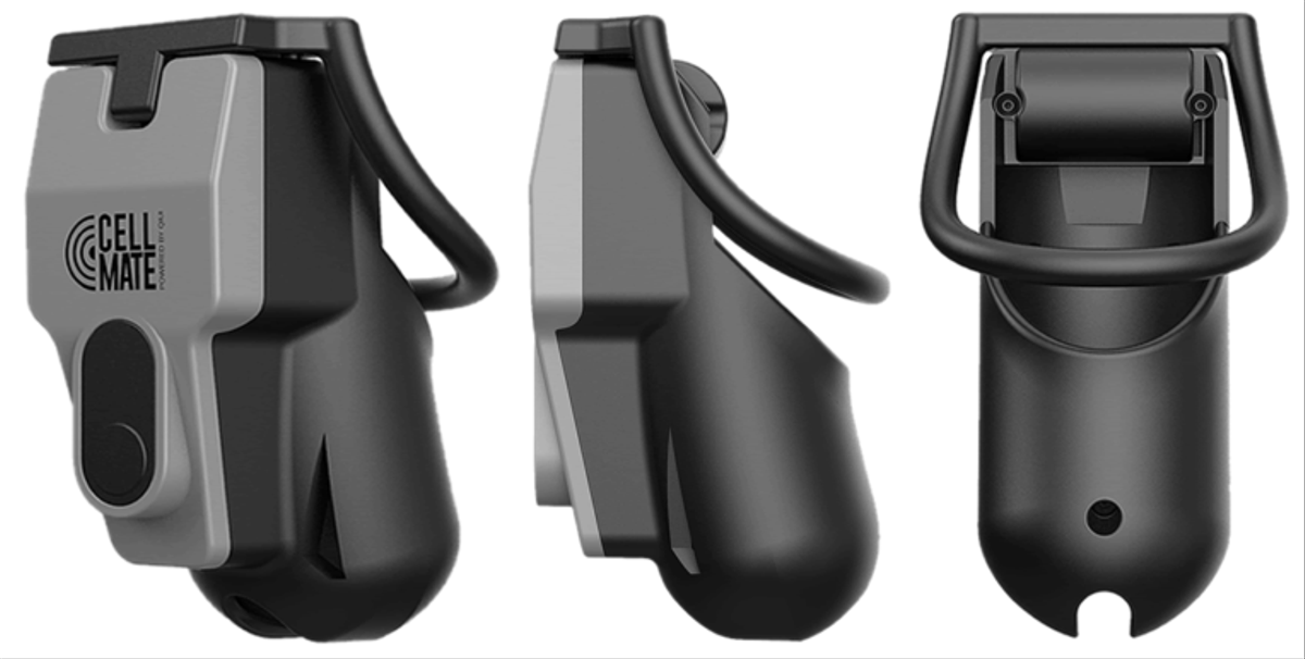 Wie Security-Experten der Firma Pen Test Partners im Oktober 2020 mitgeteilt haben, weist das Sexspielzeug mit dem Namen Cellmate einige Sicherheitslücken auf.