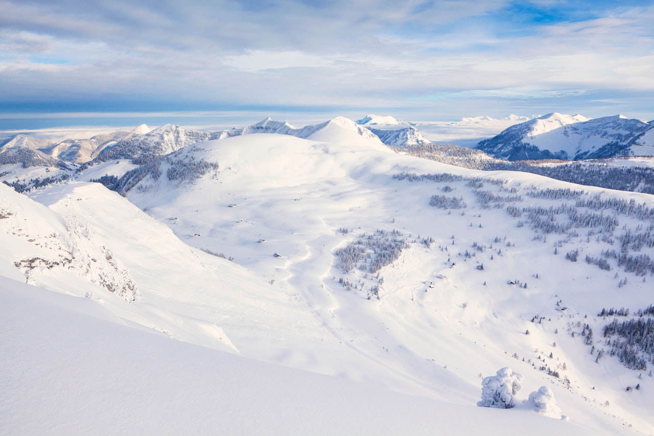 Heute.at - 16-Jährige musste aus Schnee-Chaos gerettet werden