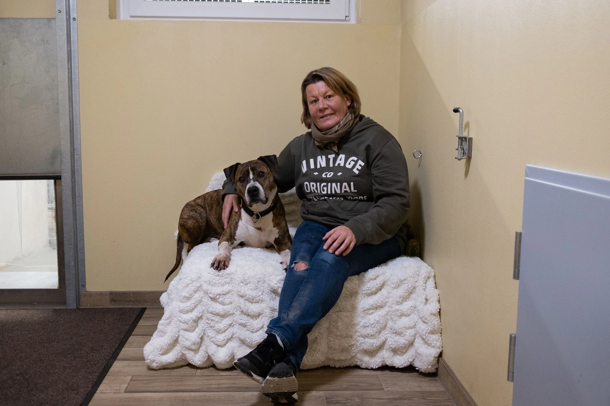 Seit acht Jahren lebt der Staffordshire-Terrier Duke im Tierheim Linz.
