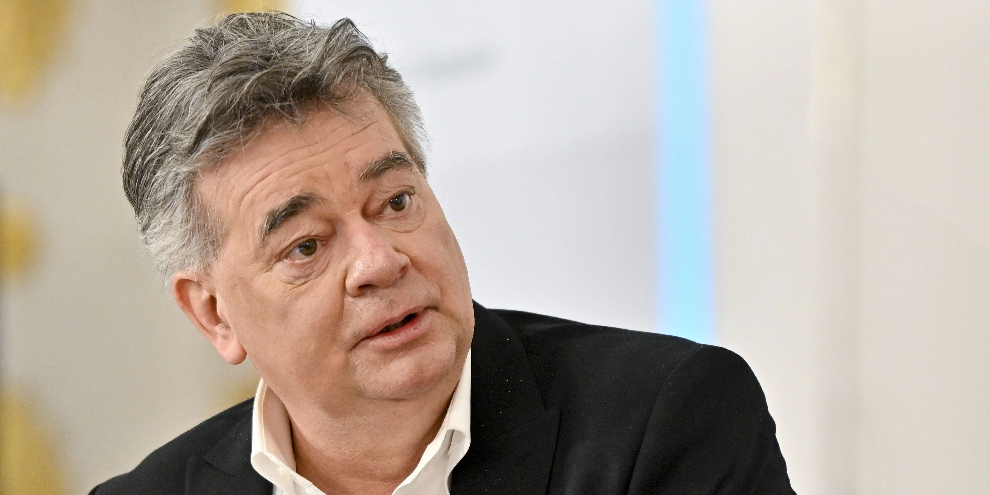 Vizekanzler Werner Kogler