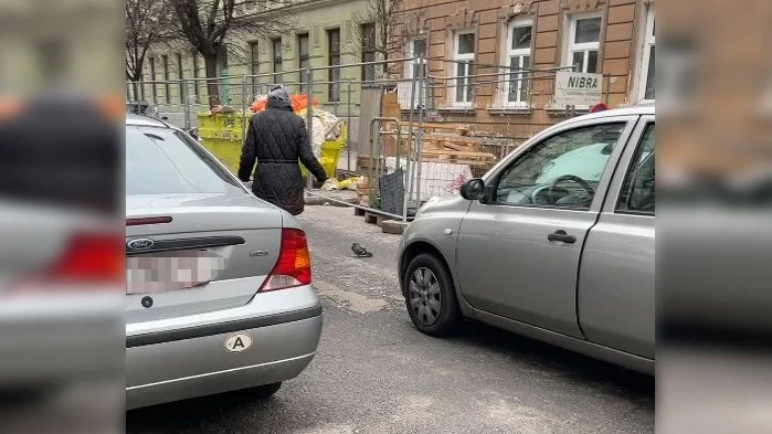 Die Taube sorgte am Dienstagmorgen für einen kleinen Stau in Wien-Ottakring.