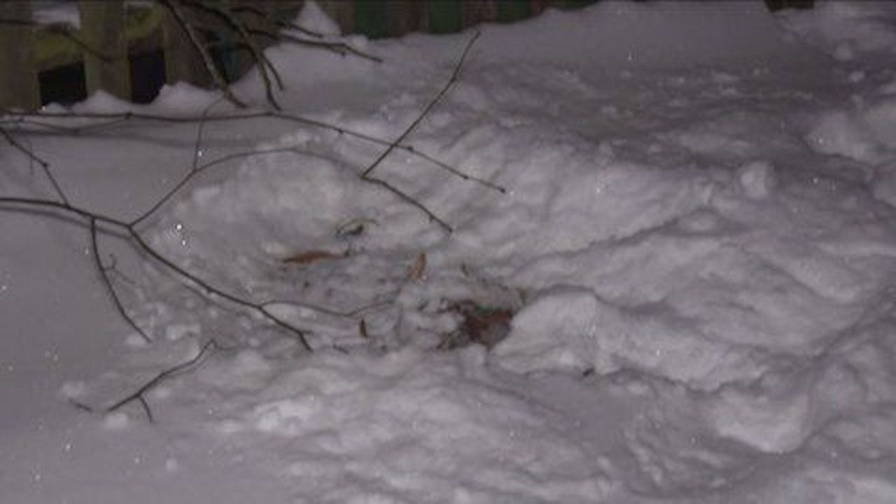 Heute.at - Mutter setzt Neugeborenes bei Eiseskälte im Schnee aus