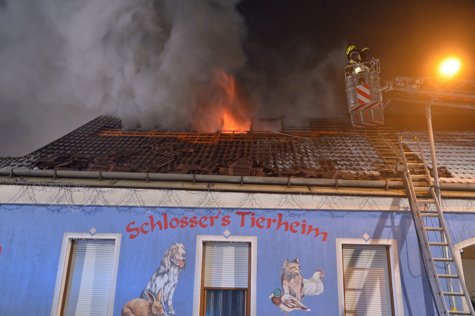Brand in Tierheim: Die Feuerwehr löschte das Feuer.