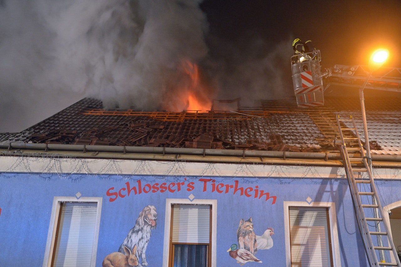 Heute.at - Tierheim brannte, weil Kind (6) mit Feuerzeug zündelte