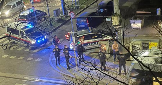 Ein nackter Schluckspecht randalierte in Wien-Meidling.