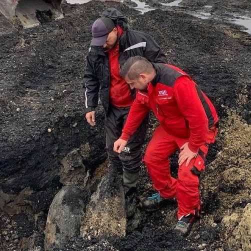 EVN-Mitarbeiter fanden das Kriegsrelikt.