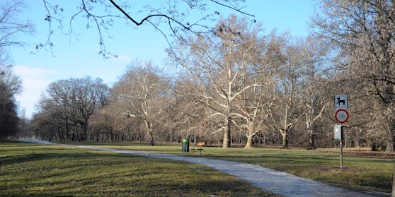 Hundeauslaufzone im Wiener Prater