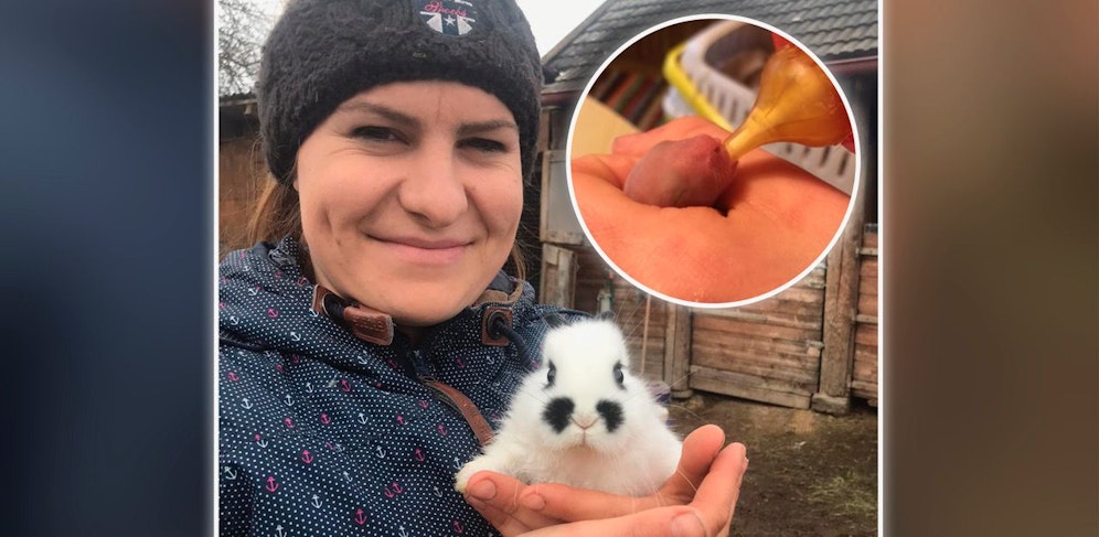 Tamara Binder pflegt die Hasenbabys im Freistädter Tierheim.