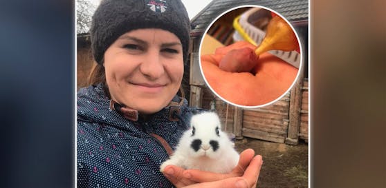 Tamara Binder pflegt die Hasenbabys im Freistädter Tierheim.