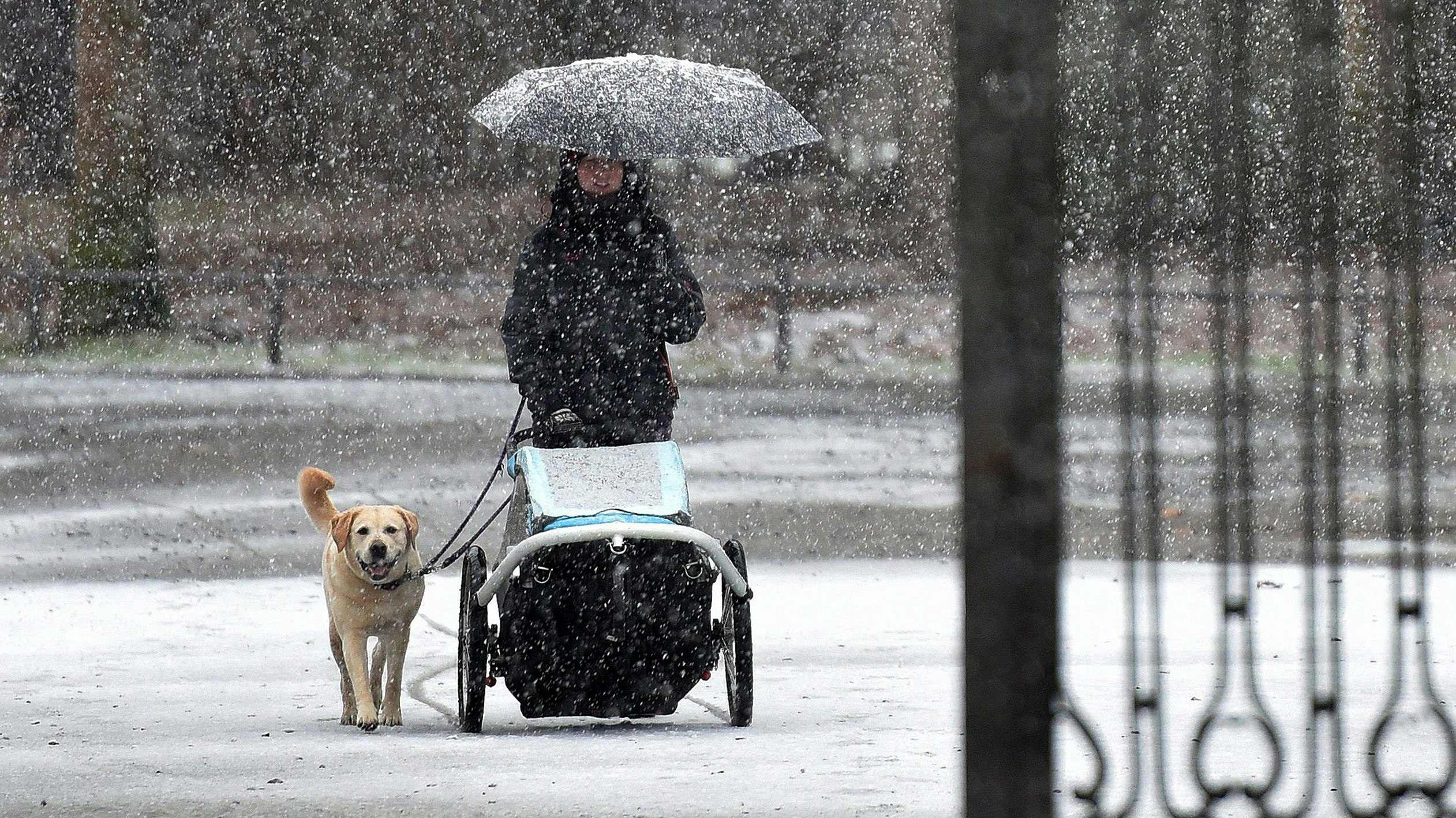 Schneefall in einem städtischen Park. Symbolbild