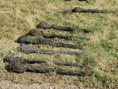 In einem alten Löschteich waren Panzerfäuste und eine Sprenggranate vergraben.